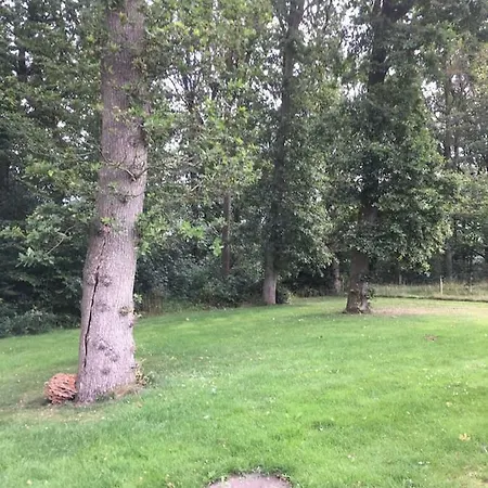 Ro I Skoven - Men Taet Pa Byen * Varde