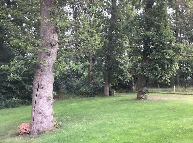 Ro I Skoven - Men Taet Pa Byen * Варде